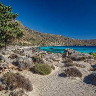 Можжевельники по дороге на пляж Кедродасос, Крит
