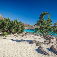 Можжевельники на пляже Кедродасос, Крит