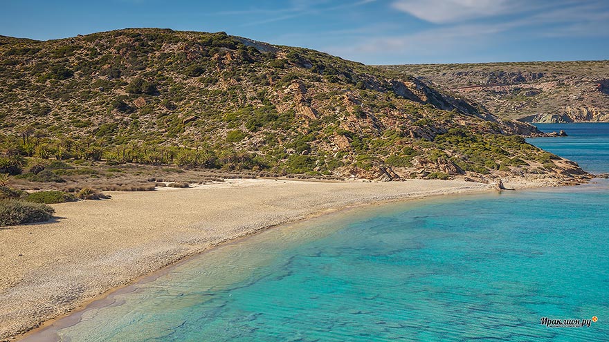 Пальмовый пляж на Крите - пляж Вай (Vai beach): финиковая роща с мелким золотистым песком и бирюзовым морем, Крит, Греция
